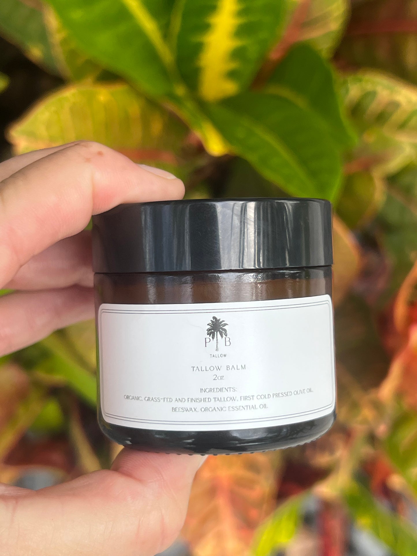 Tallow Balm