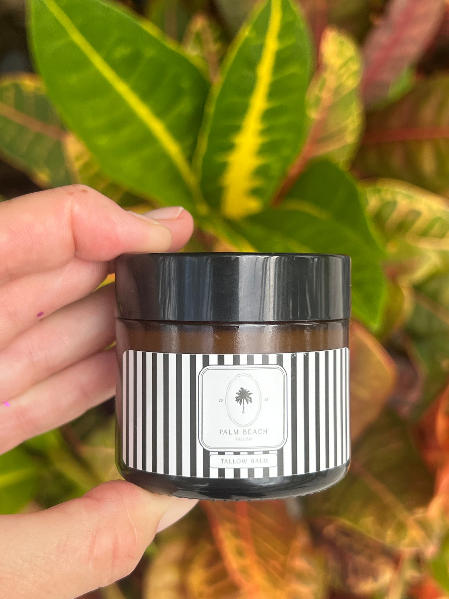 Tallow Balm