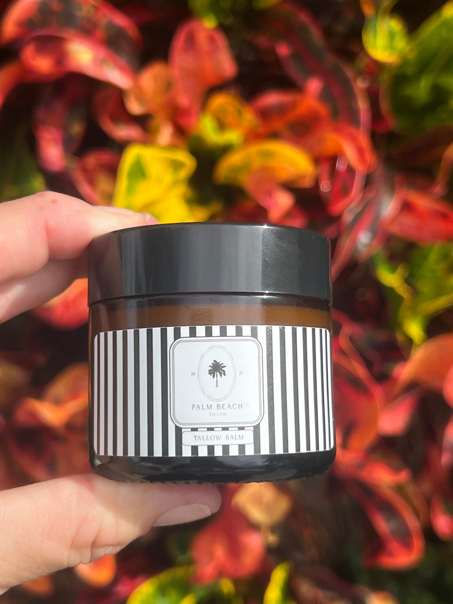Tallow Balm