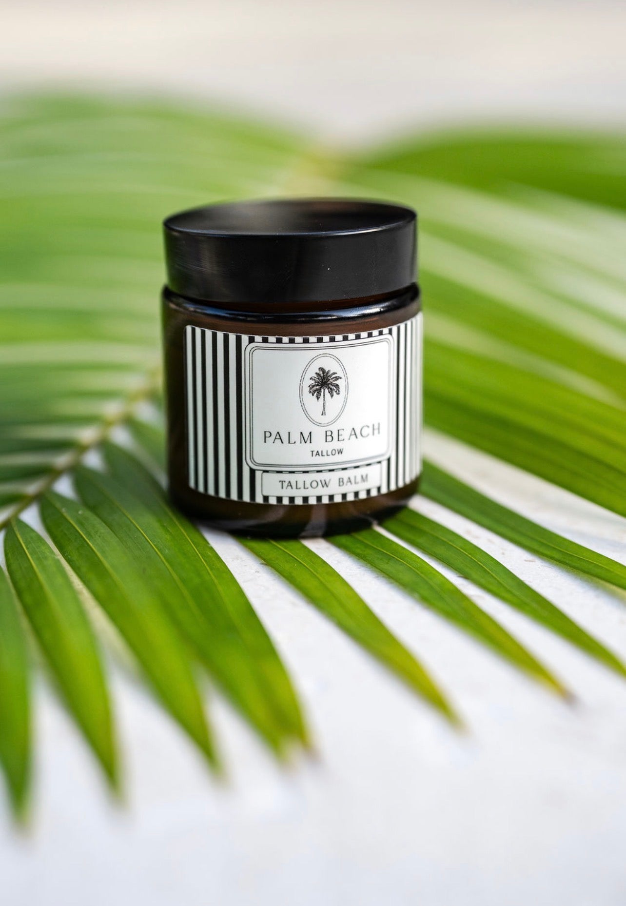 Tallow Balm