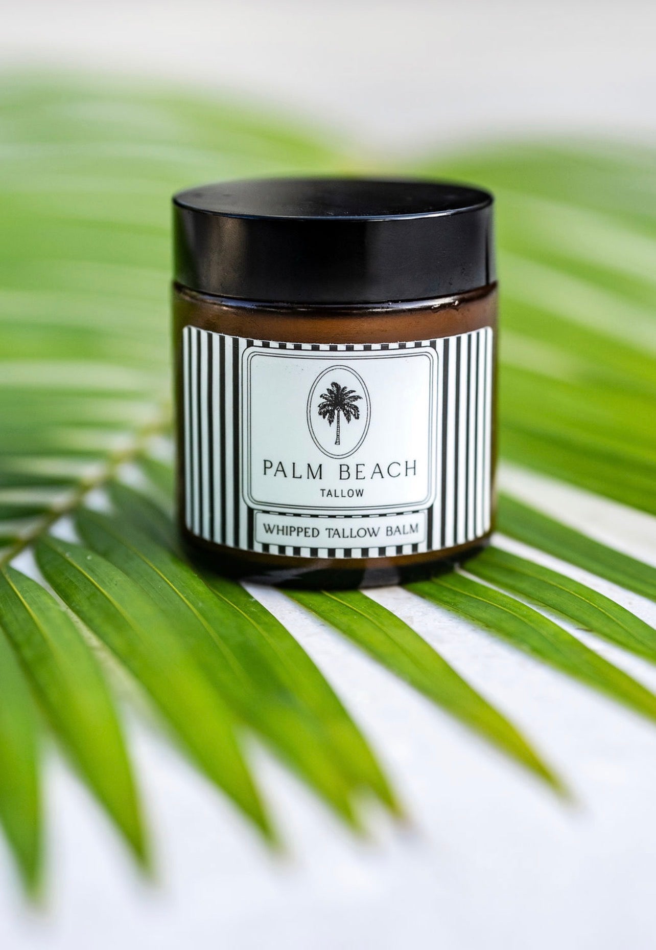 Whipped Tallow Balm